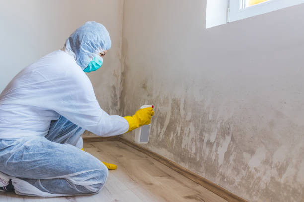Bathroom Mold Removal assessment in Winnetka bathroom