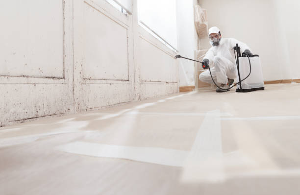 Post-remediation clearance in Winnetka
